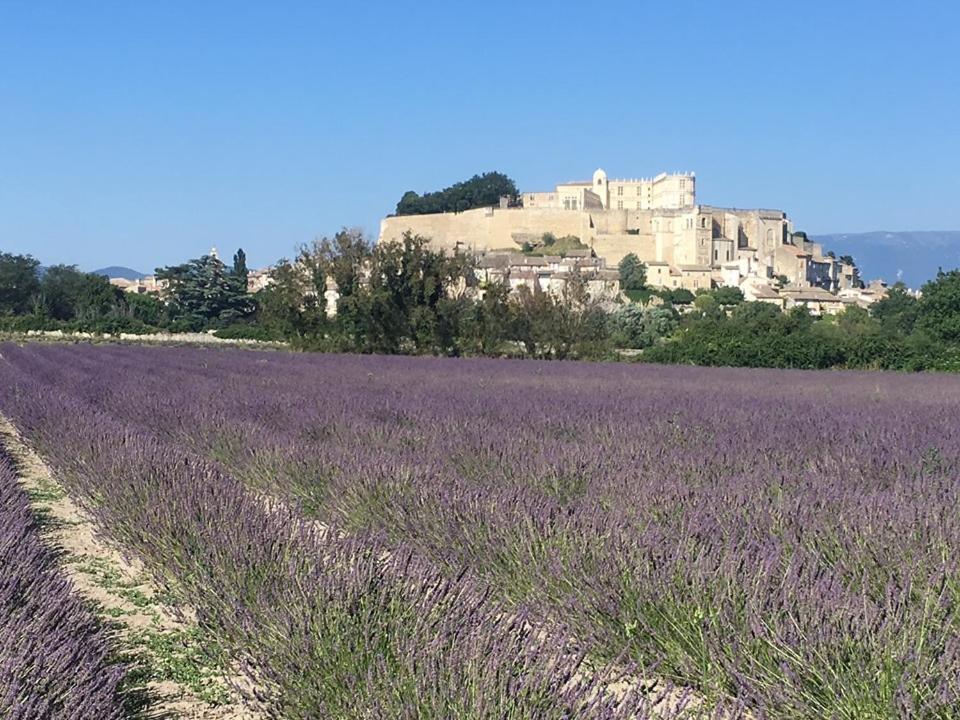 Le Mas Du Pigeonnier Réauville Εξωτερικό φωτογραφία