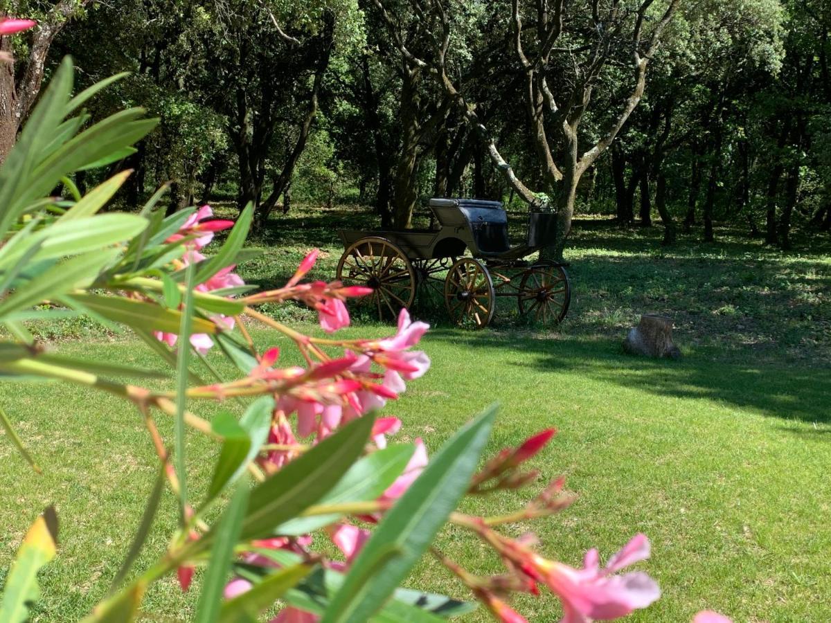 Le Mas Du Pigeonnier Réauville Εξωτερικό φωτογραφία
